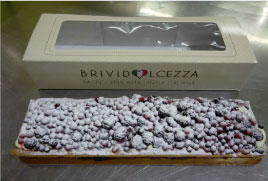 trancio-lingua-di-bosco